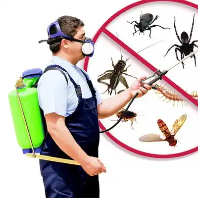 pest control Four Corners